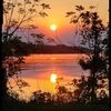 dawnmn365
